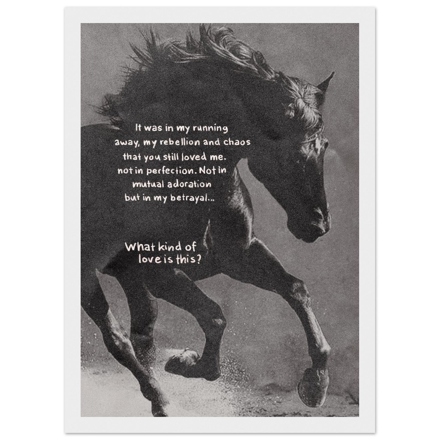 fde81f02-436a-4b56-b813-7378cd05e414