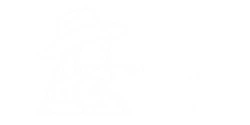 Brigz Bibles