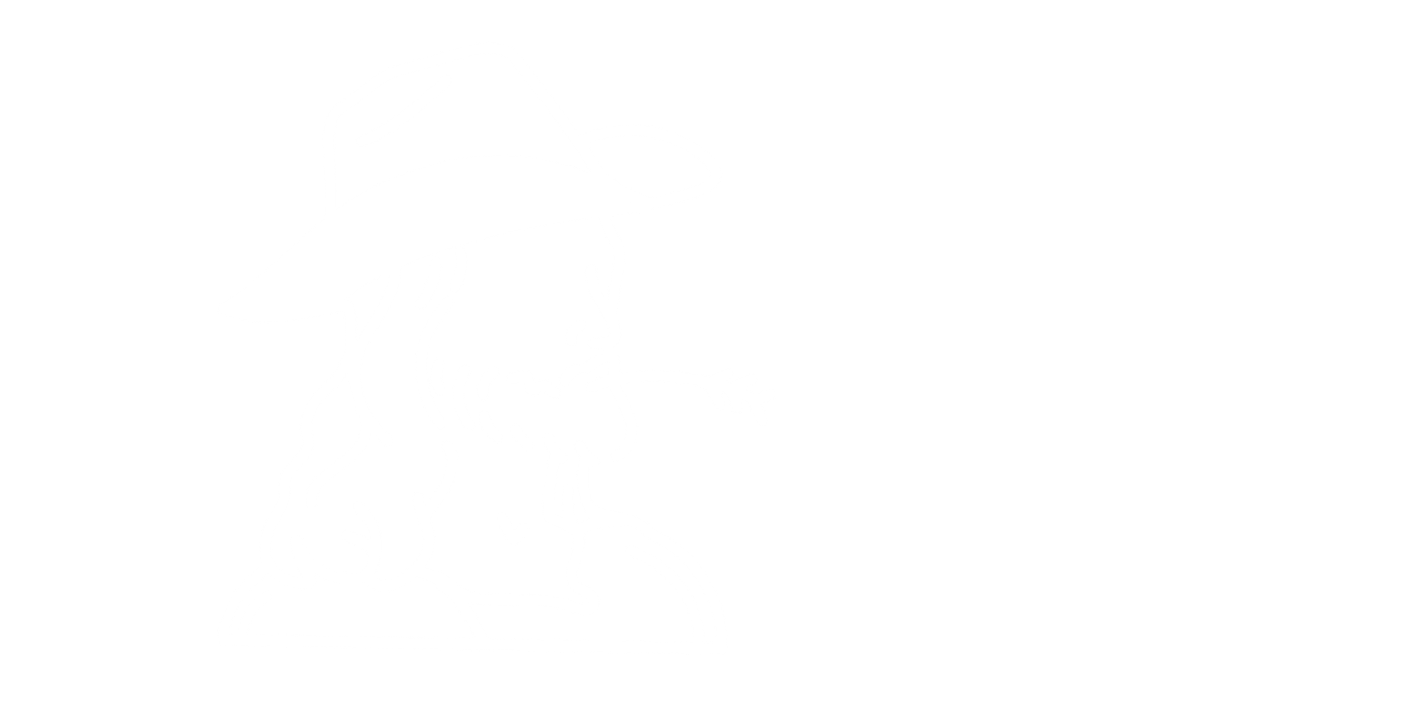 Brigz Bibles