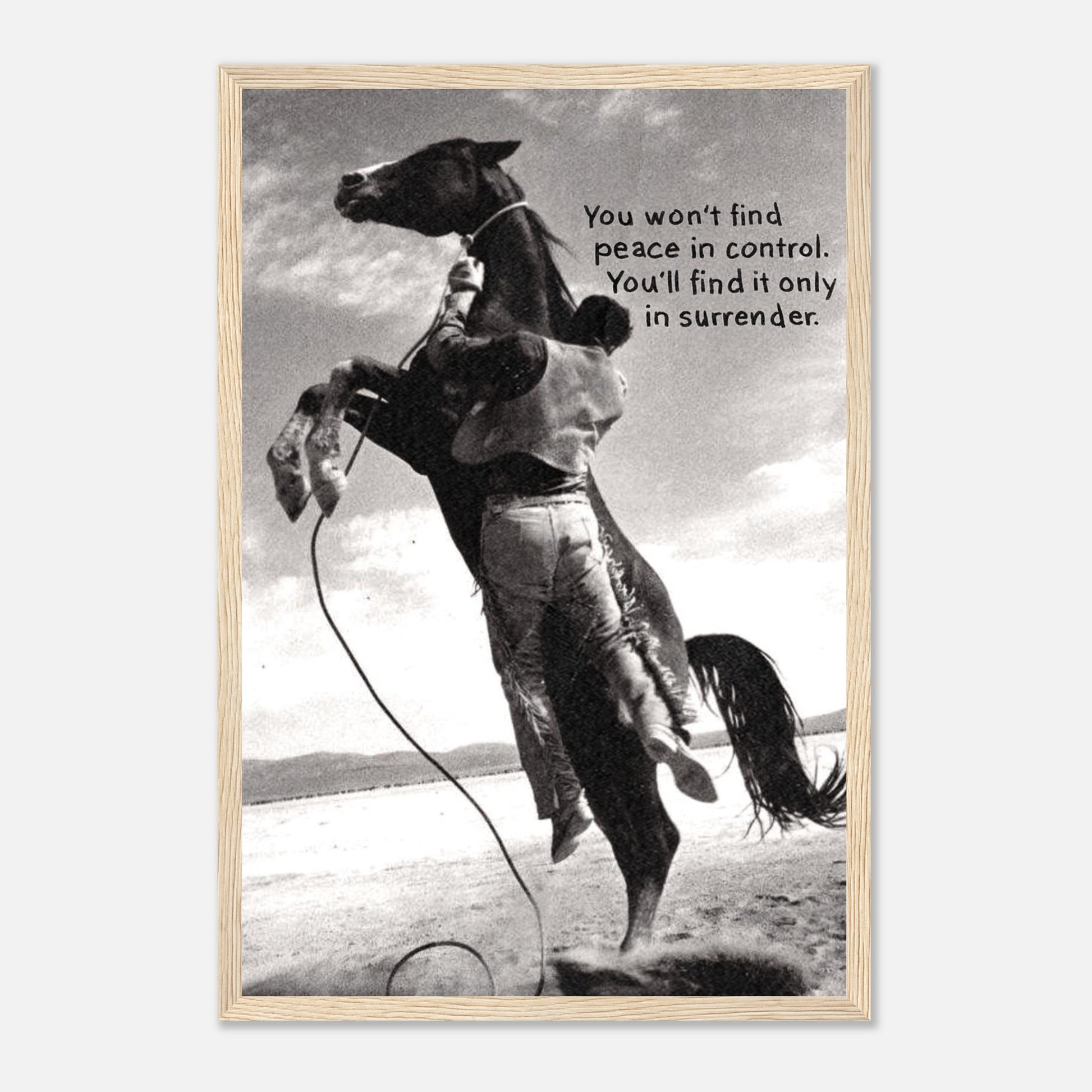 df865978-043d-487a-8123-33e7db773331