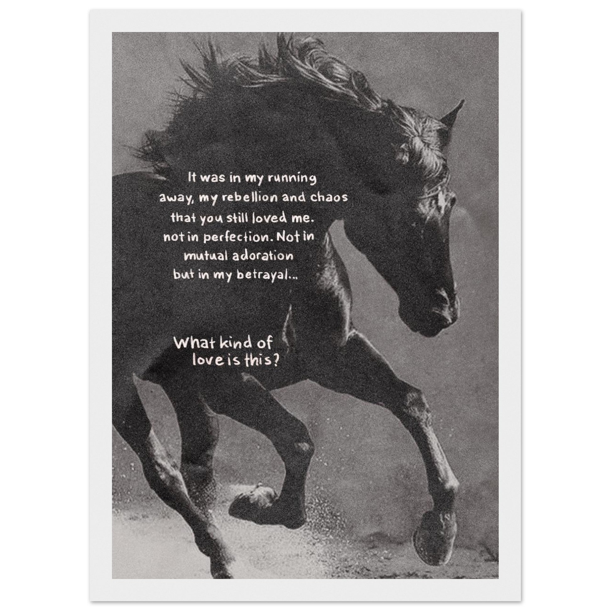 fde81f02-436a-4b56-b813-7378cd05e414